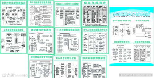 公共卫生服务流程图设计图